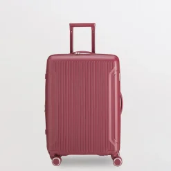Trolley M - Rigido - Flexitech
